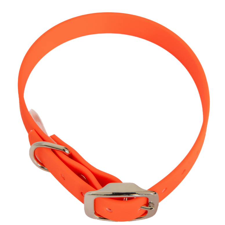 Collier en biothane ep16 mm taille s orange vif