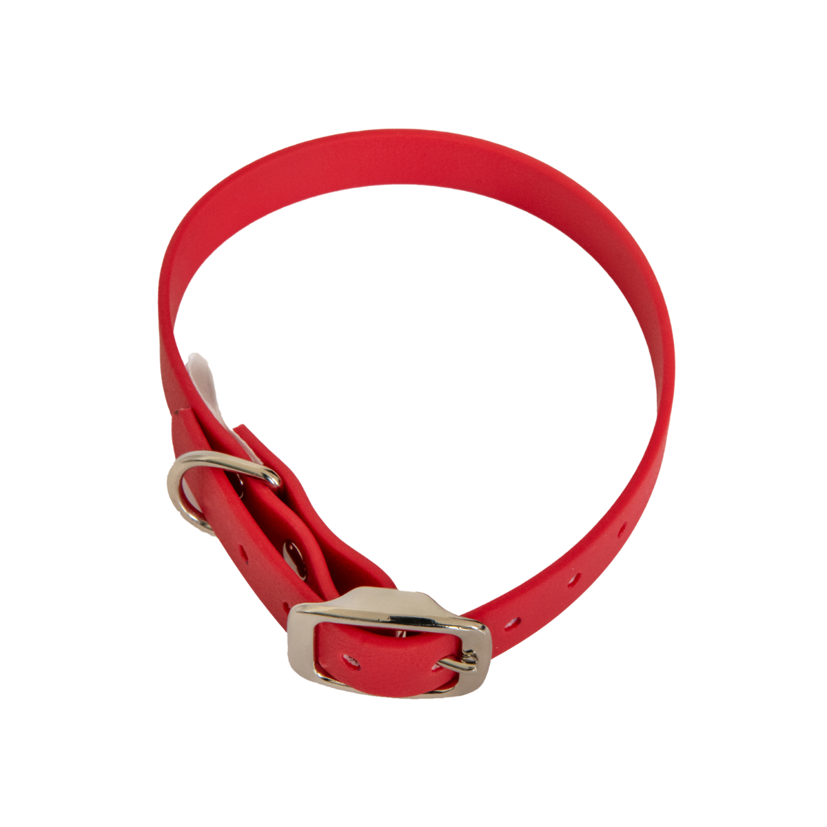Collier en biothane ep16 mm taille s bordeaux