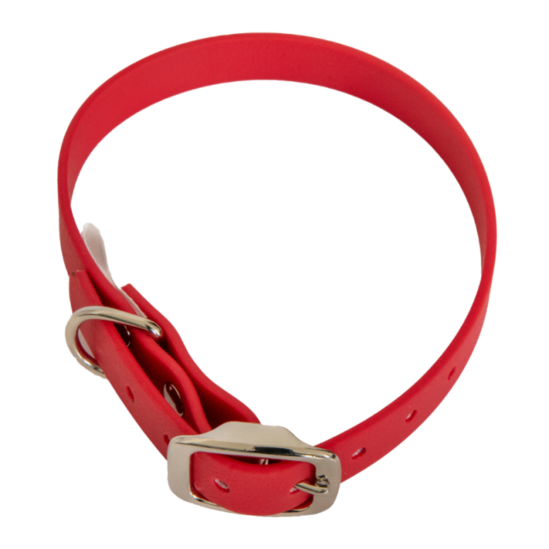 Collier en biothane ep16 mm taille s bordeaux