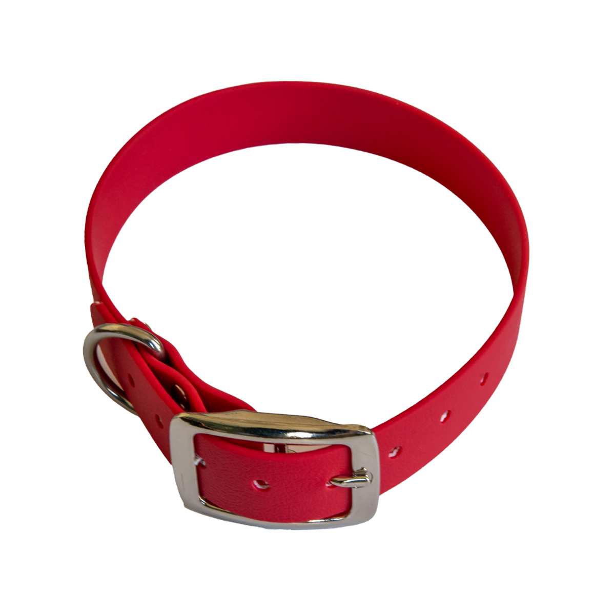 Collier en biothane ep25 mm taille m bordeaux