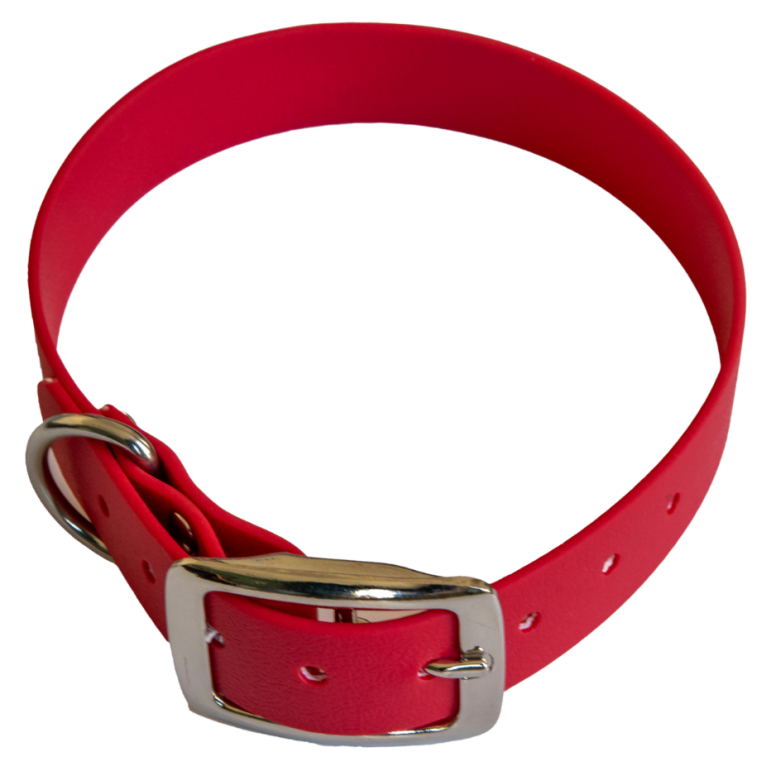Collier en biothane ep25 mm taille m bordeaux