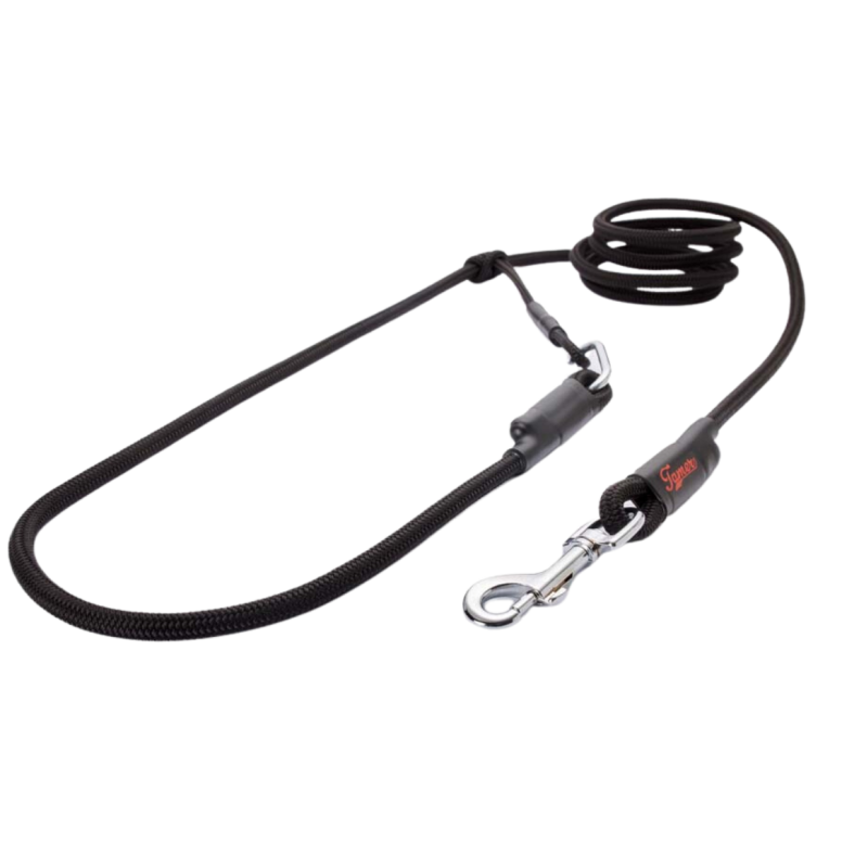 Laisse reglable easy long 2,5m noir petit chien