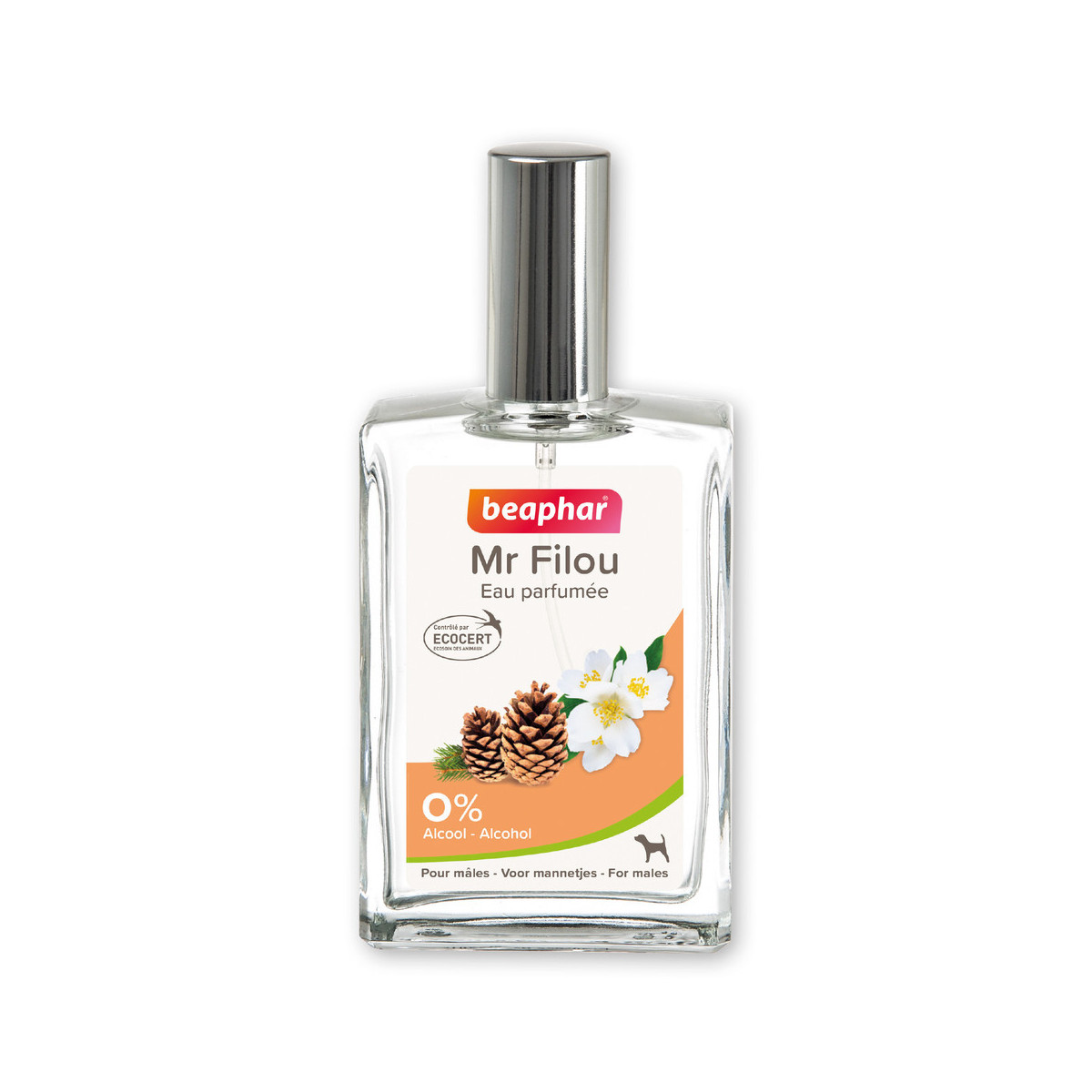 Parfum mr filou, eau de toilette male 50 ml
