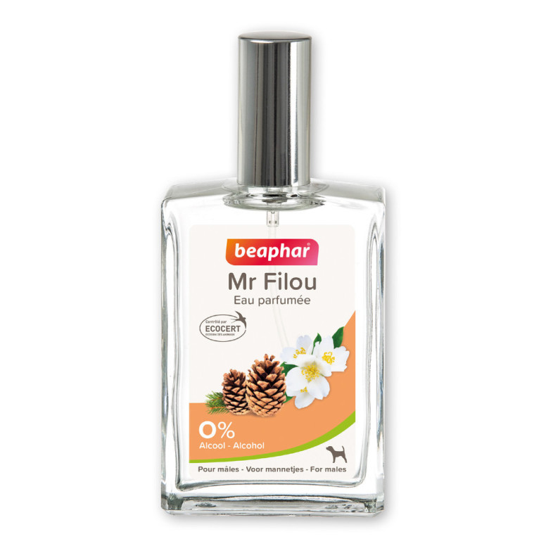 Parfum mr filou, eau de toilette male 50 ml