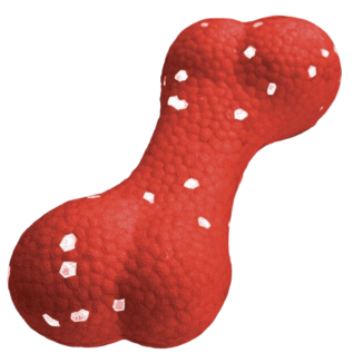 Jouet pour chien TPU os 15x7cm