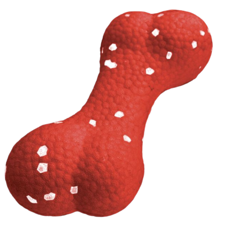 Jouet pour chien TPU os 15x7cm