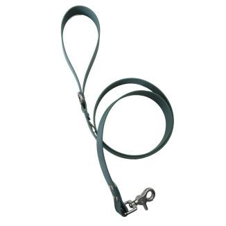 Laisse classique en biothane ep25 mm l 1,10m ver