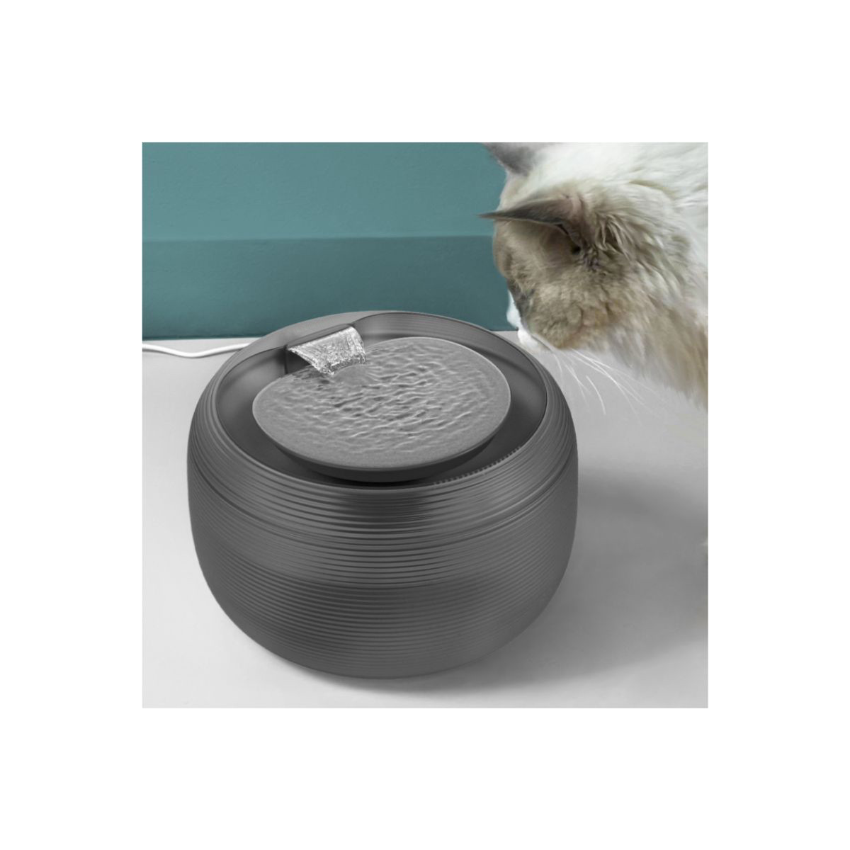 Fontaine Martin Sellier noire 2.5L pour chat