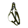 Harnais baudrier Martin Sellier kaki 15-30/50 pour chien et chat