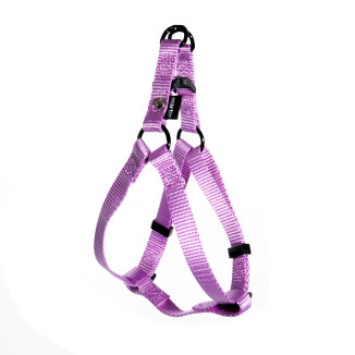 Harnais baudrier Martin Sellier nylon parme 40-90/110 pour chien et chat