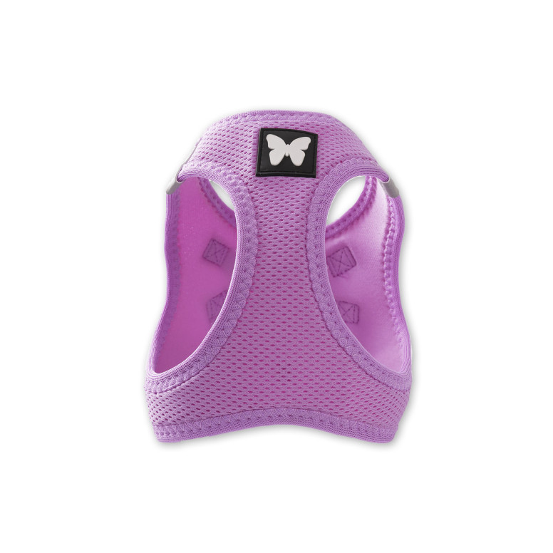 Harnais Martin Sellier Mesh parme 2XS pour chien et chat