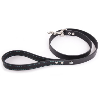 Laisse flash t100cm noir et turquoise