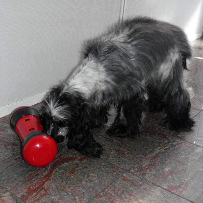 Pipolino l noir et rouge