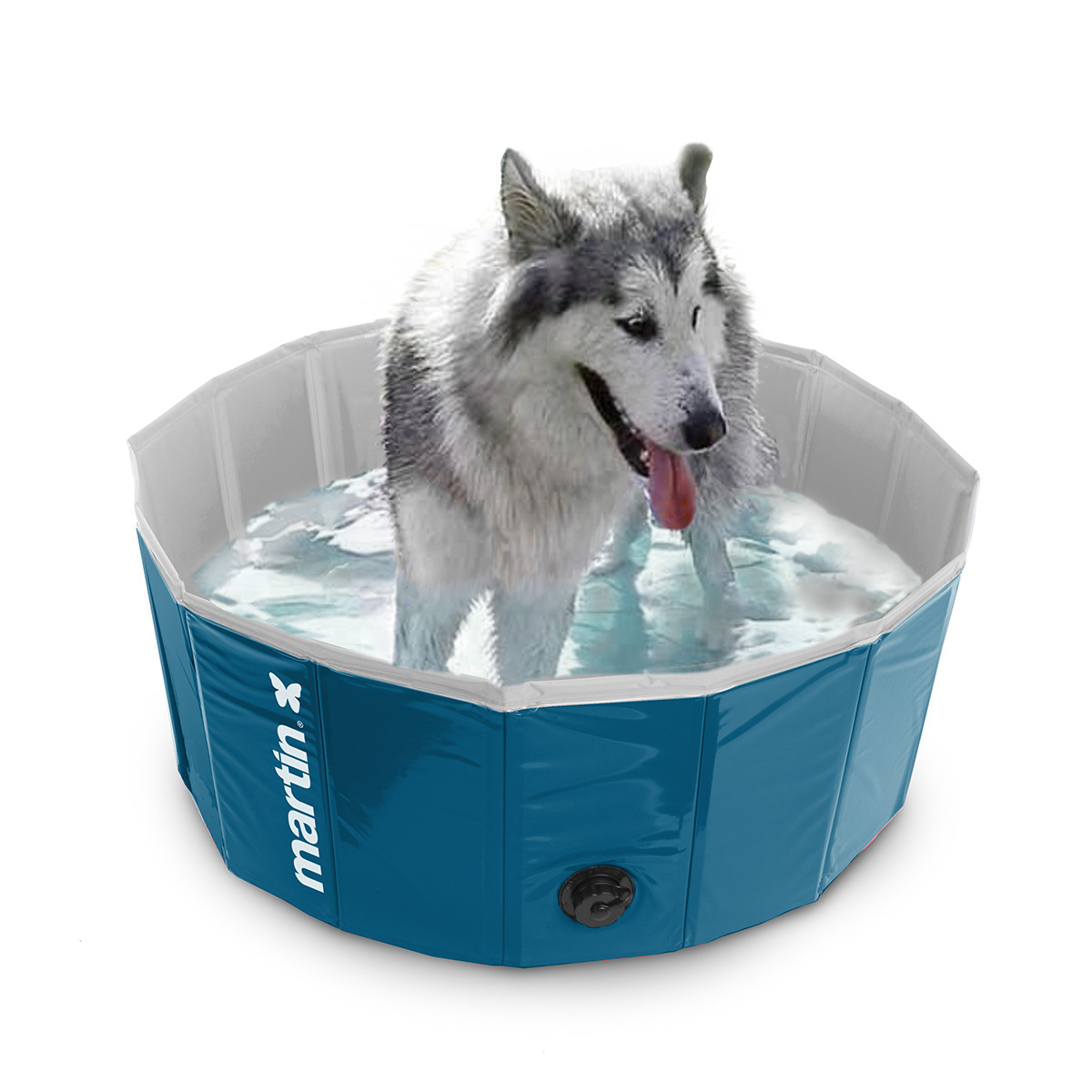 Piscine martin pool pour chien bleu 80x20cm