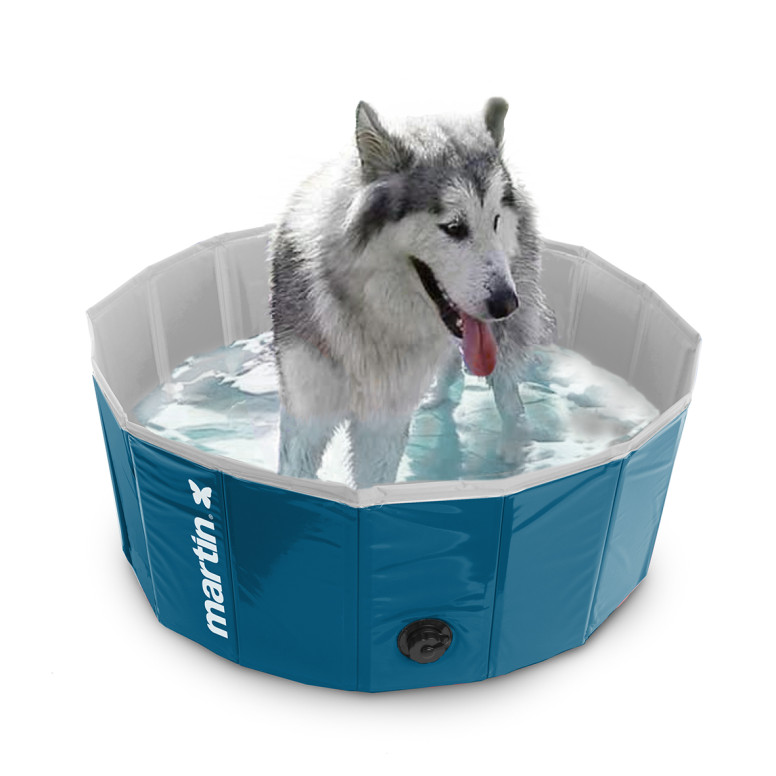 Piscine martin pool pour chien bleu 80x20cm
