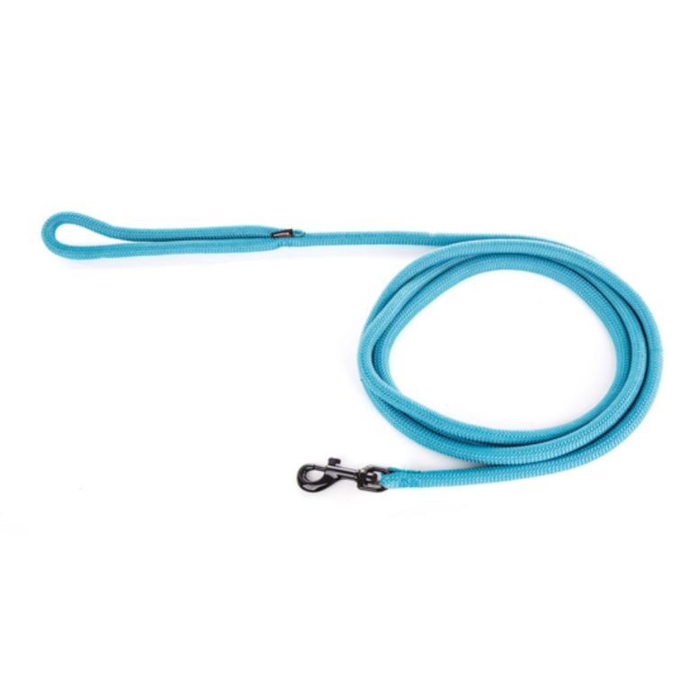 Longe nylon rond Martin Sellier turquoise 5m pour chien