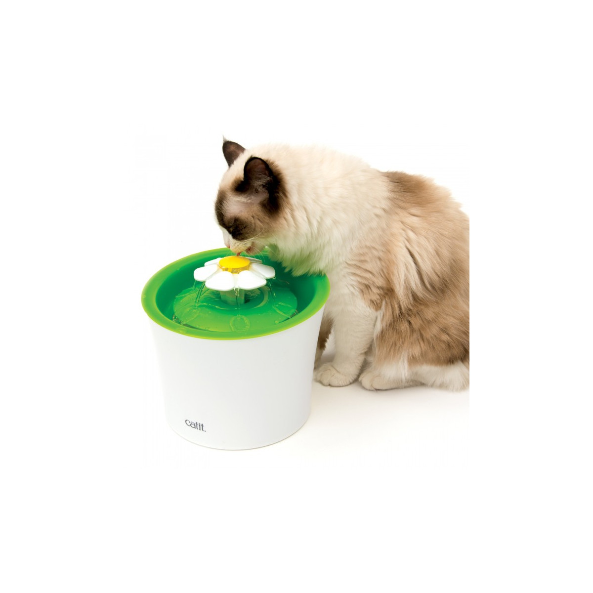 Fontaine fleur 3l