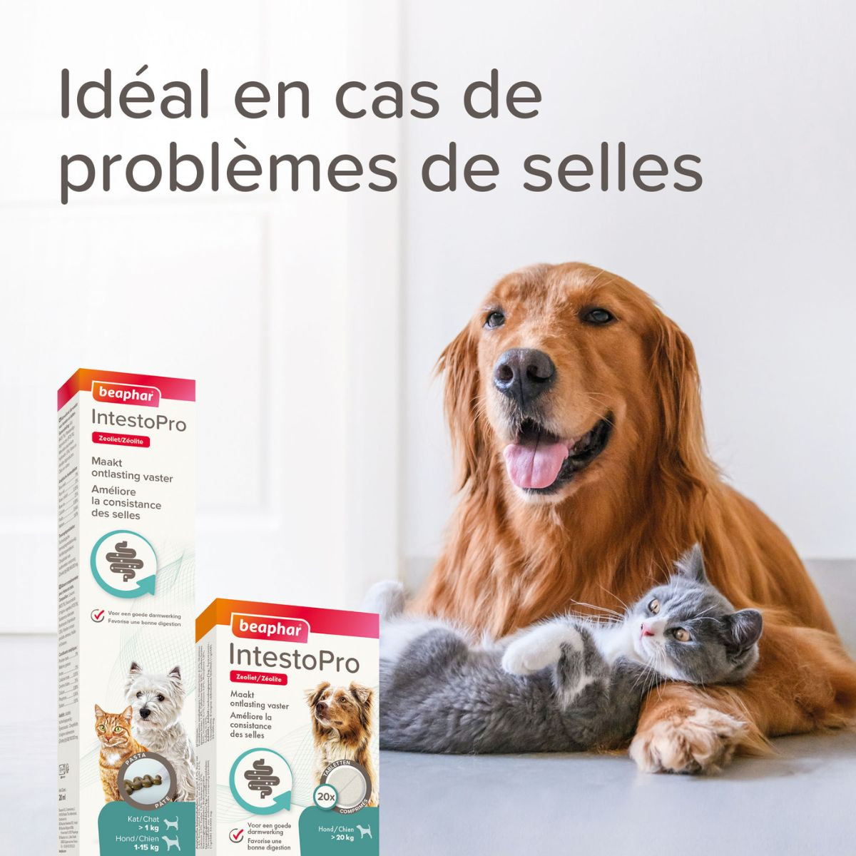 Beaphar complément alimentaire pour chiens et chats de moins de 15kg 20 comprimés