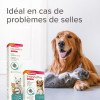 Beaphar complément alimentaire pour chiens et chats de moins de 15kg 20 comprimés