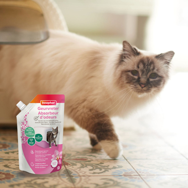 Absorbeur d'odeurs parfum orchidée Beaphar (400g) pour chien et chat