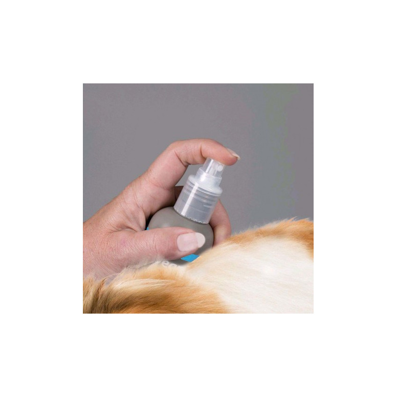 Shampooing empreinte demelant