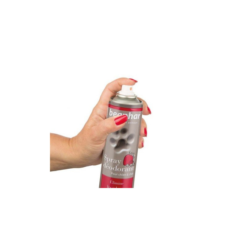 Spray deodorant 250ml