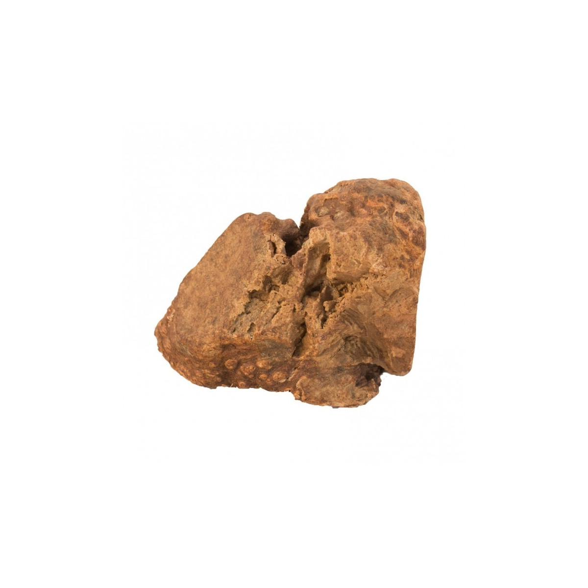 Poulet lyophilise 40gr