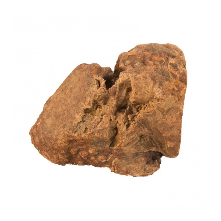 Poulet lyophilise 40gr