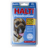 Licol halti t2