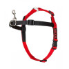 Halti harness m