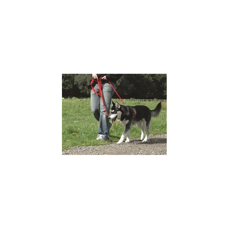 Halti harness m