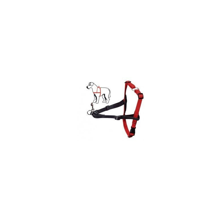 Halti harness m