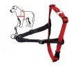 Halti harness m