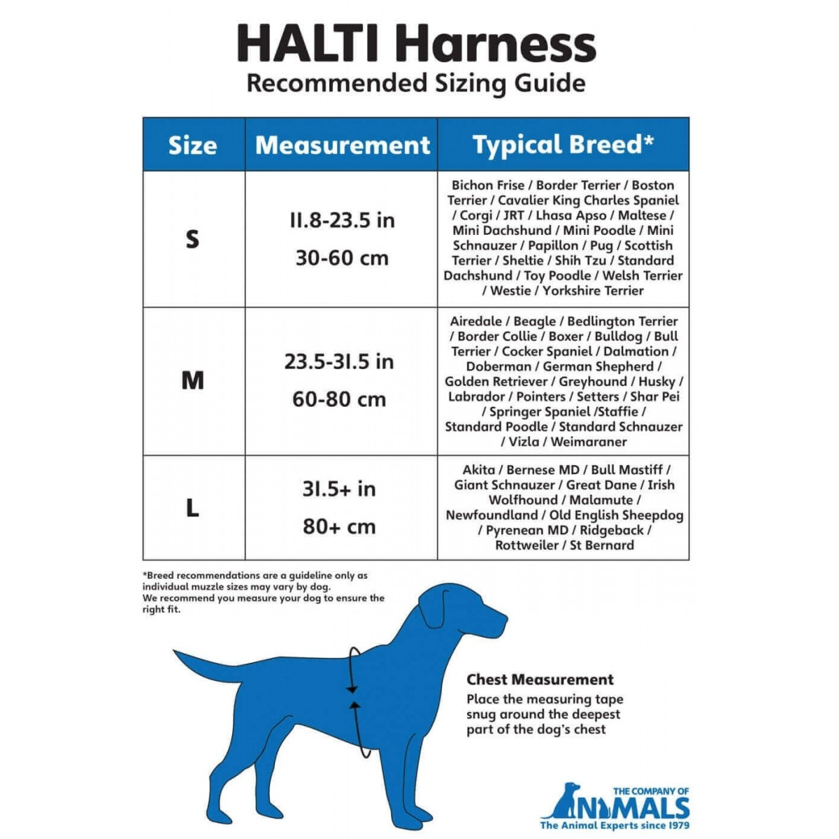 Halti harness m