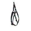 Harnais chat océan Martin Sellier 10-25/35cm pour chat