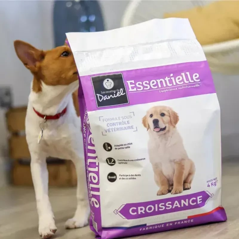 Scène lifestyle : petit chien marron renifle le sac Les Recettes de Daniel 4kg croquettes chiot viol