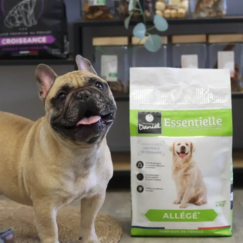 Bouledogue français debout à côté du sac Les Recettes de Daniel Essentielle Allégée 4kg en animaleri