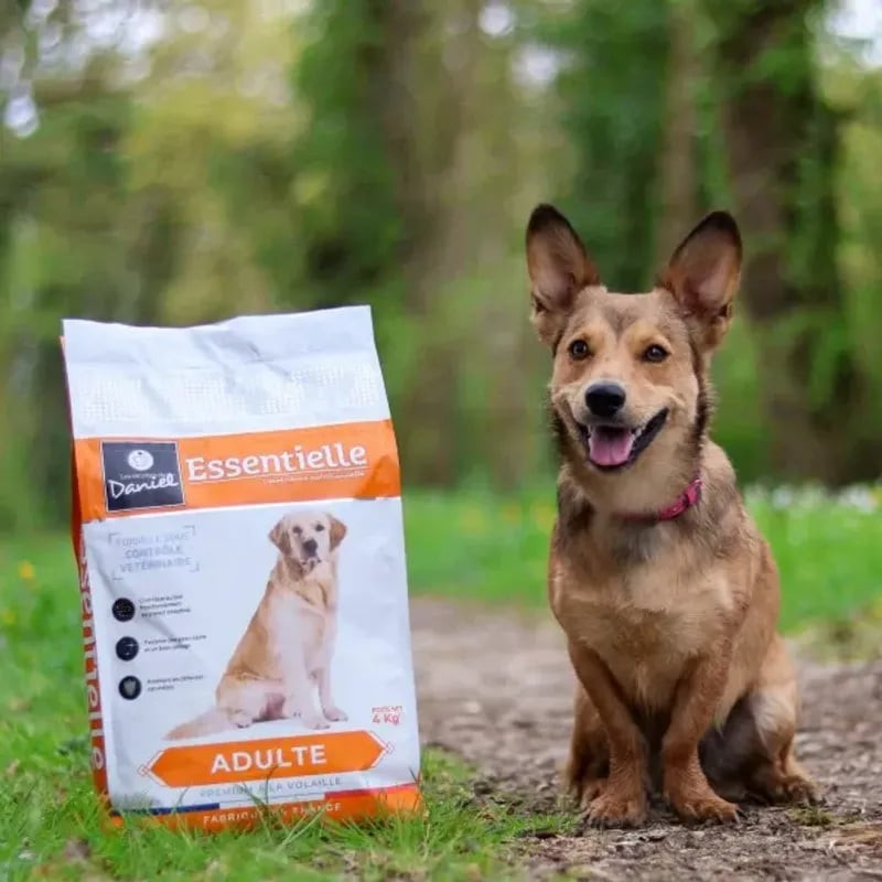 Sac Les Recettes de Daniel Essentielle croquettes chien adulte 4kg volaille posé dehors sur chemin h