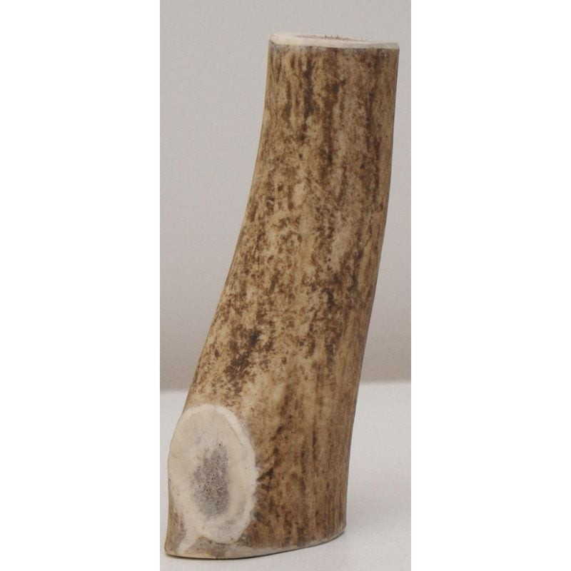 Vue gros plan de la friandise bois de cerf XL Les Recettes de Daniel, surface brune texturée et extr