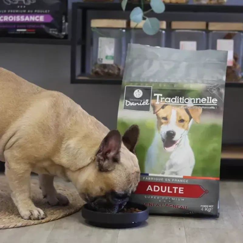 Image lifestyle de bouledogue français mangeant croquettes Les Recettes de Daniel Mini Adulte Agneau