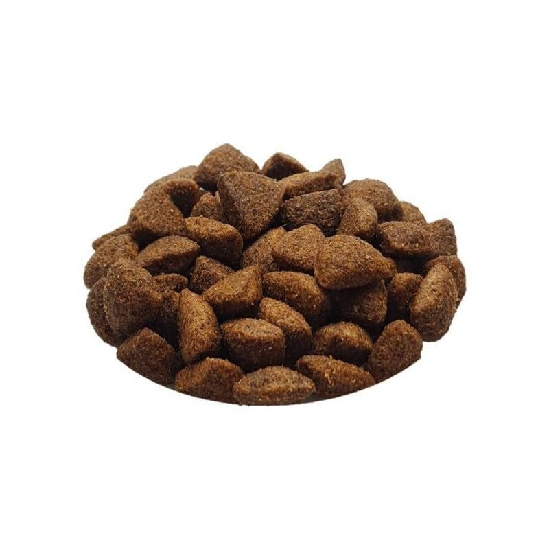 Gros plan sur une pile de croquettes Croq'Active triangulaires brun foncé sur fond blanc, mettant en