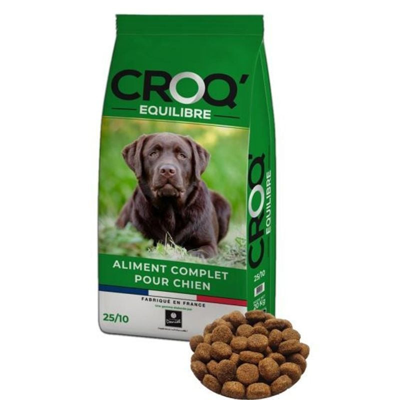 Vue de côté du sac CROQ'EQUILIBRE 20 kg vert pour croquettes chien avec image Labrador, près d'un ta