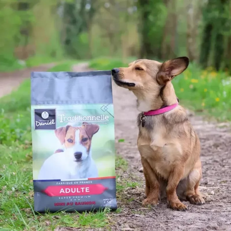 Petit chien adulte marron posant joyeusement à côté du sac Les Recettes de Daniel Traditionnelle Min
