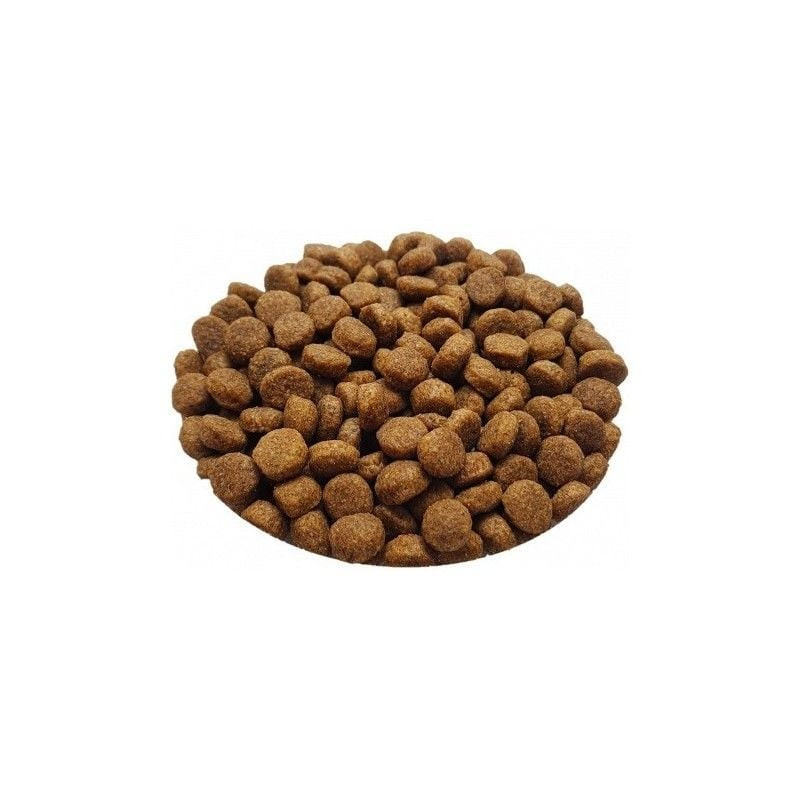 Gros plan sur croquettes texturées brunes des Recettes de Daniel Essentielle poulet pour chats stéri