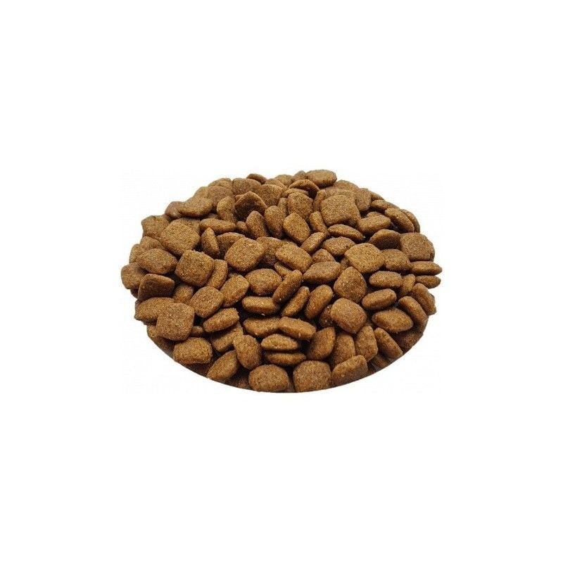 Gros plan sur croquettes carrées brunes Les Recettes de Daniel au saumon premium pour chat, texture 