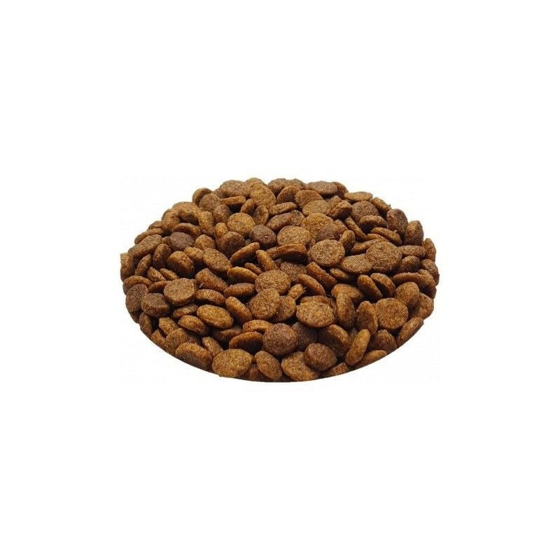 Gros plan sur une pile de croquettes brunâtres texturées des Recettes de Daniel Senior Stérilisé Pou