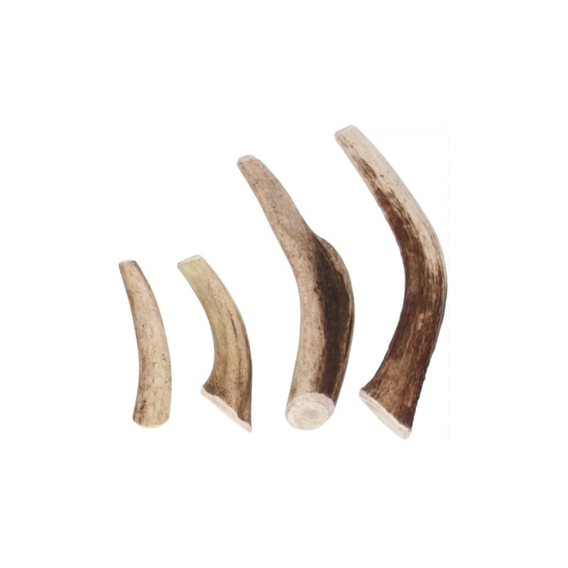 Gros plan sur quatre friandises en bois de cerf de tailles et formes variées sur fond blanc, texture