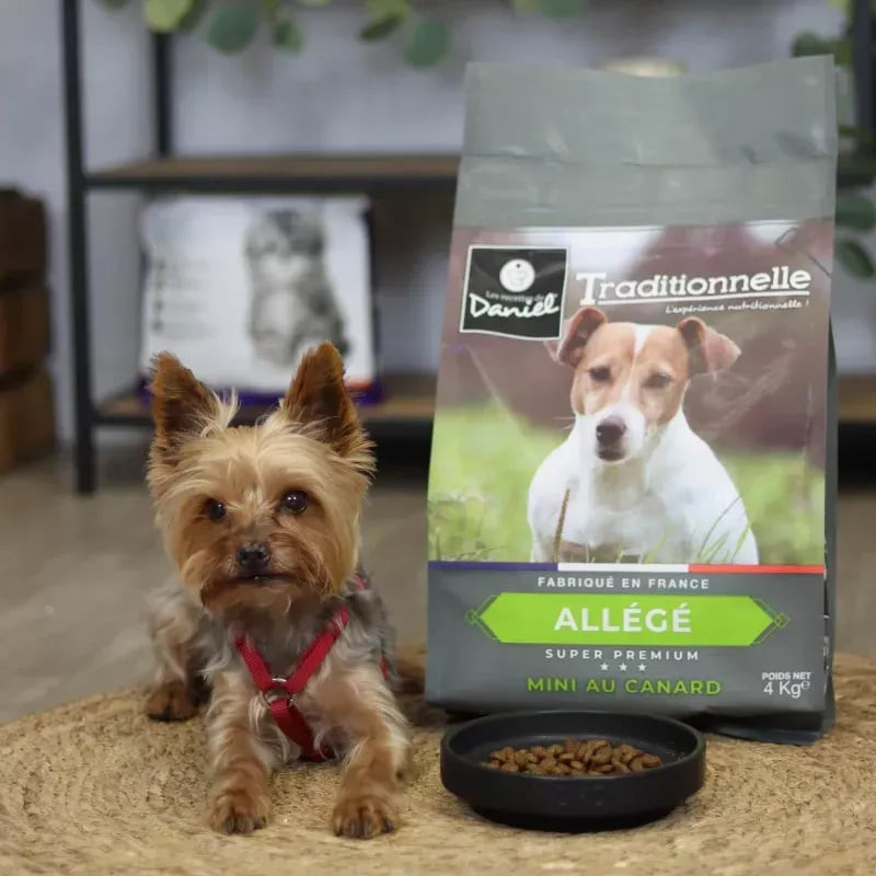 Yorkshire Terrier assis avec sac Les Recettes de Daniel 4kg Mini au Canard et bol de croquettes au s