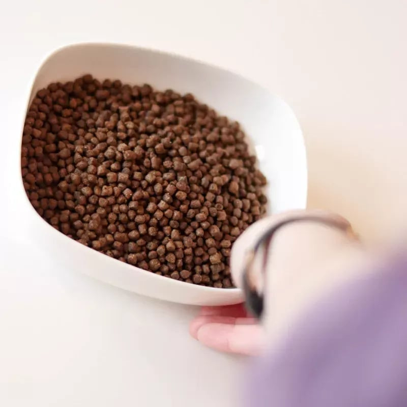 Image lifestyle de croquettes pour chaton Les Recettes de Daniel couleur marron versées dans bol bla