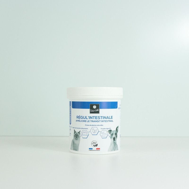 Vue avant du pot Régul' Intestinale 200g des Recettes de Daniel sur surface claire, avec accents ble